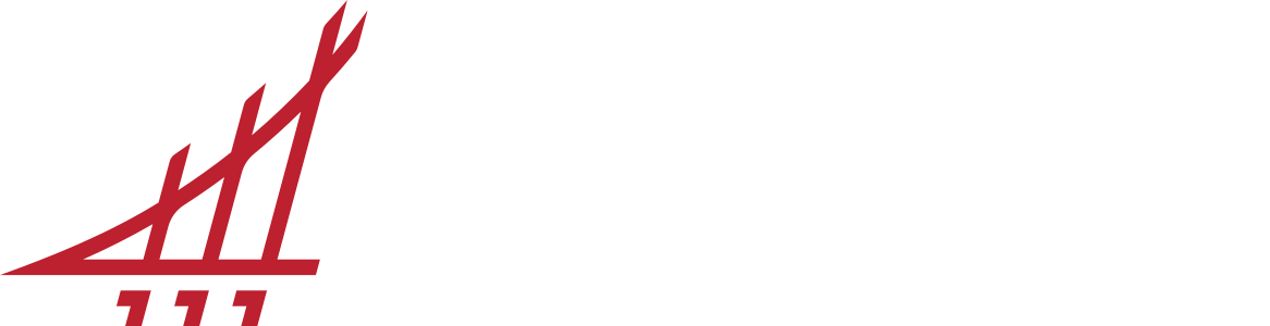 CITEMEX